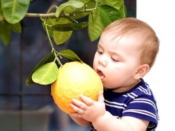 Miért szeretnénk, hogy a citrom nagyon gyakran, hogy a szervezet azt akarja mondani,