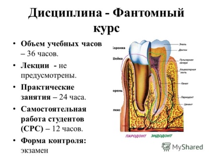 Előadás fantom során terápiás fogászat - választható modul (választható) Előadás fantom során terápiás fogászat - választható kurzus modul