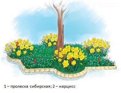 Fatörzsek fák -, hogyan kell rendezni a virágágyás egy fa alatt