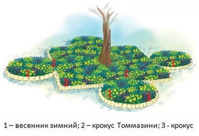 Fatörzsek fák -, hogyan kell rendezni a virágágyás egy fa alatt