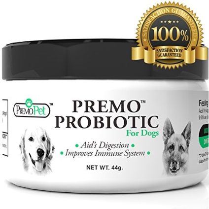Probiotikumok kutyák mikroflóra jelen annak érdekében,