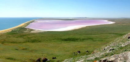 Rózsaszín-tó Krím koyashskoe tó közelében Kerch
