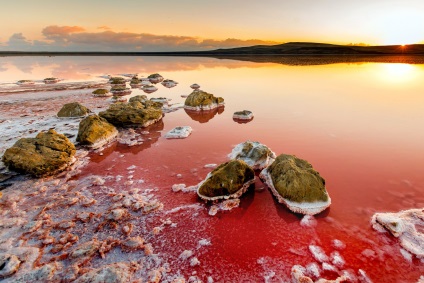 Rózsaszín-tó Krím koyashskoe tó közelében Kerch