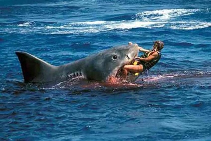 Legmegrázóbb cápa támadások - a forrása a jó hangulat