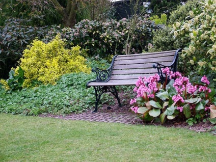 Bench, hogy - a részletes leírása példák fotó és a lépés (pad) Bench, hogy - a részletes leírása példák fotó és lépésről
