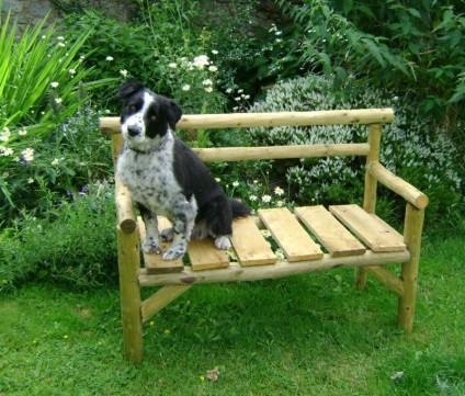 Bench, hogy - a részletes leírása példák fotó és a lépés (házak) Bench, hogy - a részletes leírása példák fotó és lépésről