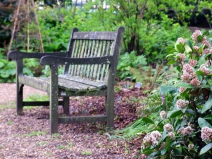 Bench, hogy - a részletes leírása példák fotó és lépésről