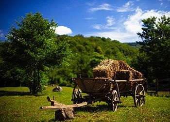 Béreljen házat Kárpátalján