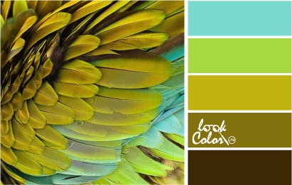 A kombináció a szín Chartreuse, lookcolor