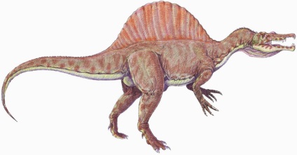 Spinosaurus - Spinosaurus, Spinosaurus fotó képeket, gyíkok régi hüllő hüllők fosszilis