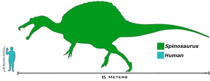 Spinosaurus - Spinosaurus, Spinosaurus fotó képeket, gyíkok régi hüllő hüllők fosszilis