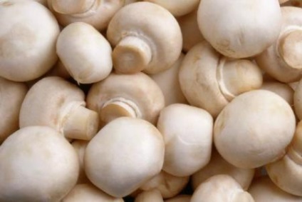 Top szükséges termékek vegán -, hogy a vegánok esznek (élelmiszer) Top szükséges termékek vegán -, hogy evés vegánok