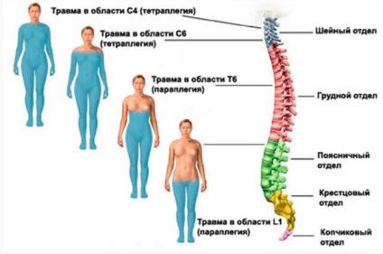 gerinc zúzódás tünetei)