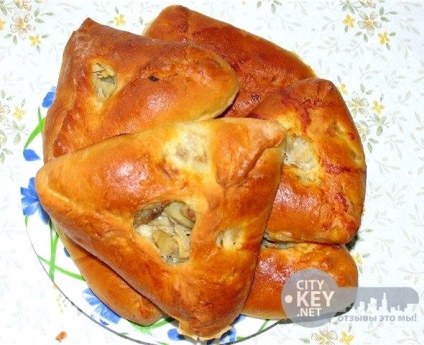 Háromszögek burgonyával és csirke recept fényképpel (háromszög) Háromszögek burgonyával és csirke recept egy fotó