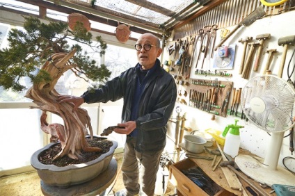 Hallja a hangokat, a mester bonsai kavabe Takeo információkat Japán