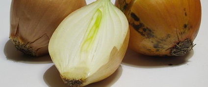 Fajok és fajták hagyma és módjait fotók tárolására otthon, főzés (hagyma) Fajok és fajták hagyma és módjait fotók tárolására otthon, főzés