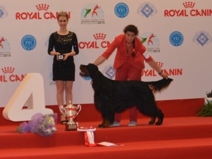 Dog Show, World Cup 2015 WDS Milánó, Olaszország - pintyek, kanárik és más madarak -