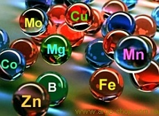 Egyes termékek tartalmaznak vas, kalcium, cink, jód, fluor, magnézium, nátrium, stb