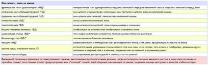 Fekvenyomás annyit kell tudni, hogy edzés előtt (kötelező) Fekvenyomás annyit kell tudni, hogy az edzés előtt