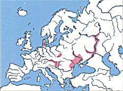 Állatföldrajzi hal (állatföldrajzi) állatföldrajzi hal