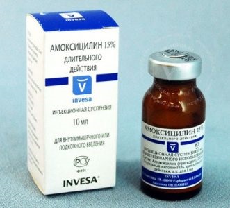 Amoxicillin macskáknak használati utasítást, adagolási