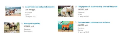 Akhal-Teke ló, ár, fotó és videó (Akhal-Teke) Akhal-Teke ló, ár, fotó és videó