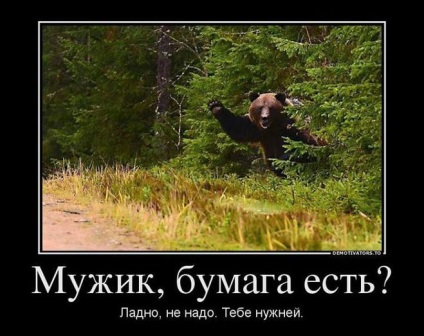 Mi kell egy személy teendő, ha egy medve az erdőben találkozott