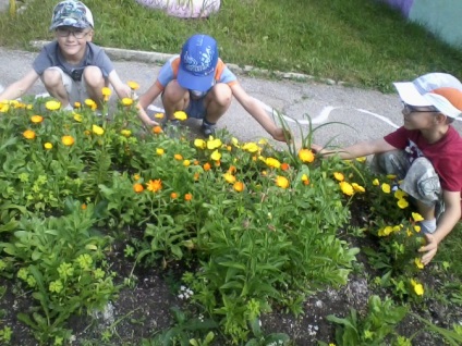 Gyermek Project „a növény virágot saját kezűleg”