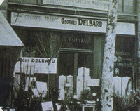 Francia «delbard» Rose (földi gyökér gallér hely) Francia «delbard» Rose
