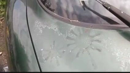 Hogy gyorsan és pontosan ellenőrizni a lakk véralvadási (véralvadás) Hogy gyorsan és pontosan ellenőrizni a lakkot a véralvadási