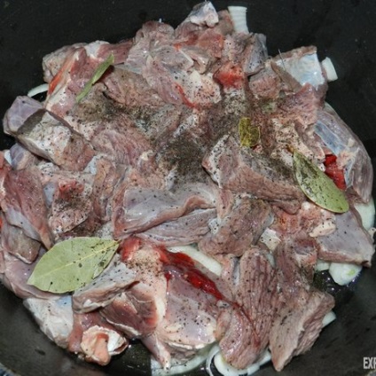 Hogyan készítsen finom húsát jávorszarvas, expertoza