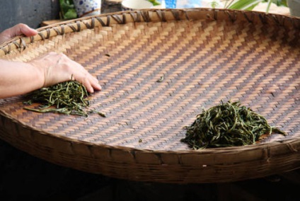 Hogyan készítsünk málnaleveleket és ribizli tea