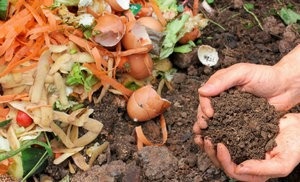 Hogyan készítsünk komposztot a kezüket az országban, és otthon