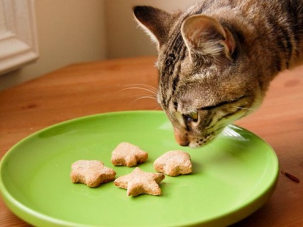 Hogyan készítsünk kezeli kutyák és a macskák saját kezűleg - egy egyszerű és hasznos receptek - Szfinx