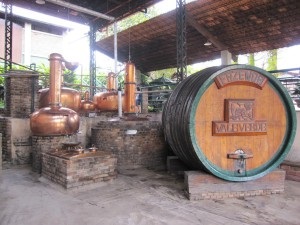 Cachaca - hogyan kell inni a nemzeti ital a brazil videók, nalivali (ital) Cachaca - hogyan kell inni a nemzeti ital a brazil videók, nalivali