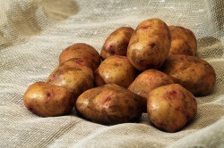 Компрес з картоплі від кашлю
