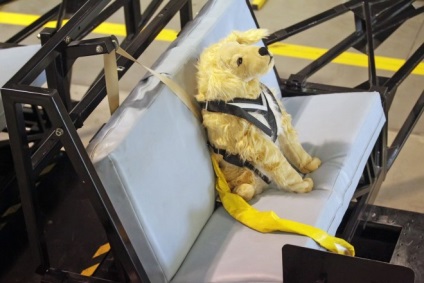 Crash test - biztonsági övek kutyák, novella hosszú tacskó