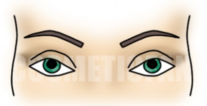 Fény make-up a barna, zöld, kék és szürke szeme, hogyan kell csinálni