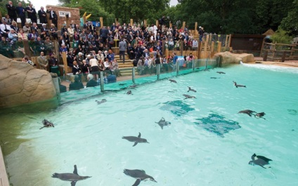 London Zoo (Londoni Állatkert) - története állati expozíció