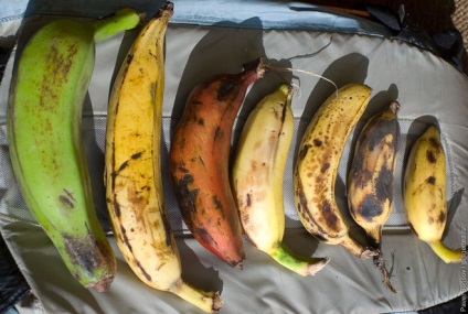 Miért kis banán sokkal drágábbak, mint a nagy
