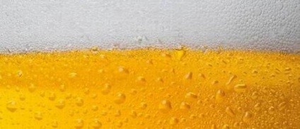 Miért nem lehet sört inni