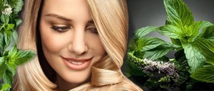 Alkalmazás és tulajdonságai menta (tulajdonságok) Alkalmazás és tulajdonságait menta