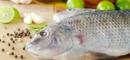 Loach hal, ha megállapítást nyer, fotók, tényeket az előnyeiről és veszélyeiről tenger gyümölcsei