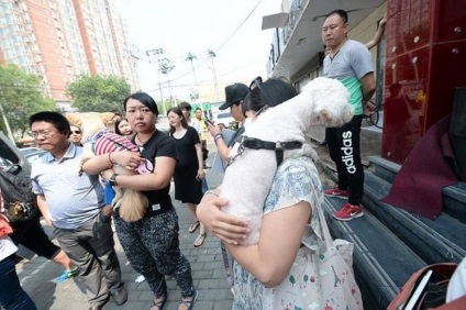Végre! A kínaiak betiltották a kutyák, a legjobb videókat lolzona