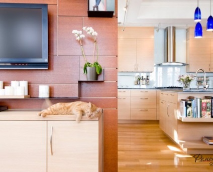 TV a konyhában de jobb hely, hogyan kell kiválasztani a szobányi méretű kialakítás