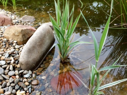 Pond saját nyaraló, hogy erősödnek a tó partján, ezzel a kezével