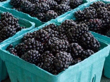 14 Foods, hogy lehet enni minden mennyiségben, és nem félnek, hogy jobb (hogy) 14 Foods, hogy lehet enni minden mennyiségben, és nem félnek, hogy jobb