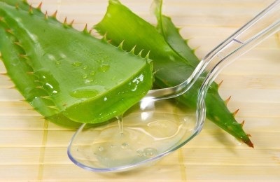 Aloe a szinusz receptek és alkalmazási jellemzők