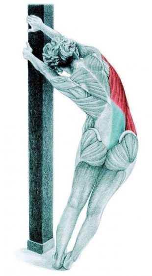 Anatomy of stretching gyakorlatok képekben az egész testet