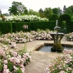 English Garden (48 fénykép) Videó útmutatást, hogy a saját kezébe, különösen a tájképi kert (angol) English Garden (48 fénykép) Videó útmutatást, hogy a saját kezébe, főleg a kertépítés